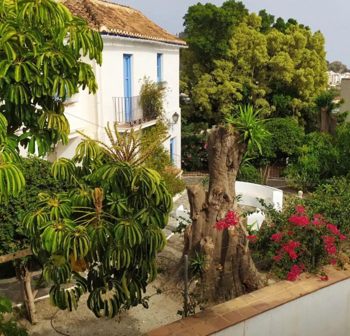Sabor Andaluz Apartment Almunecar